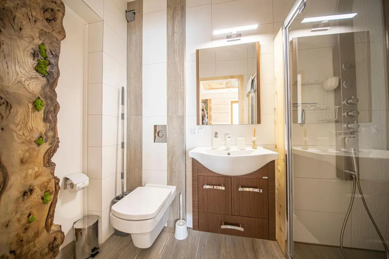 Apartment Olczanski Gosciniec Apartament Nr 2 Zakopane